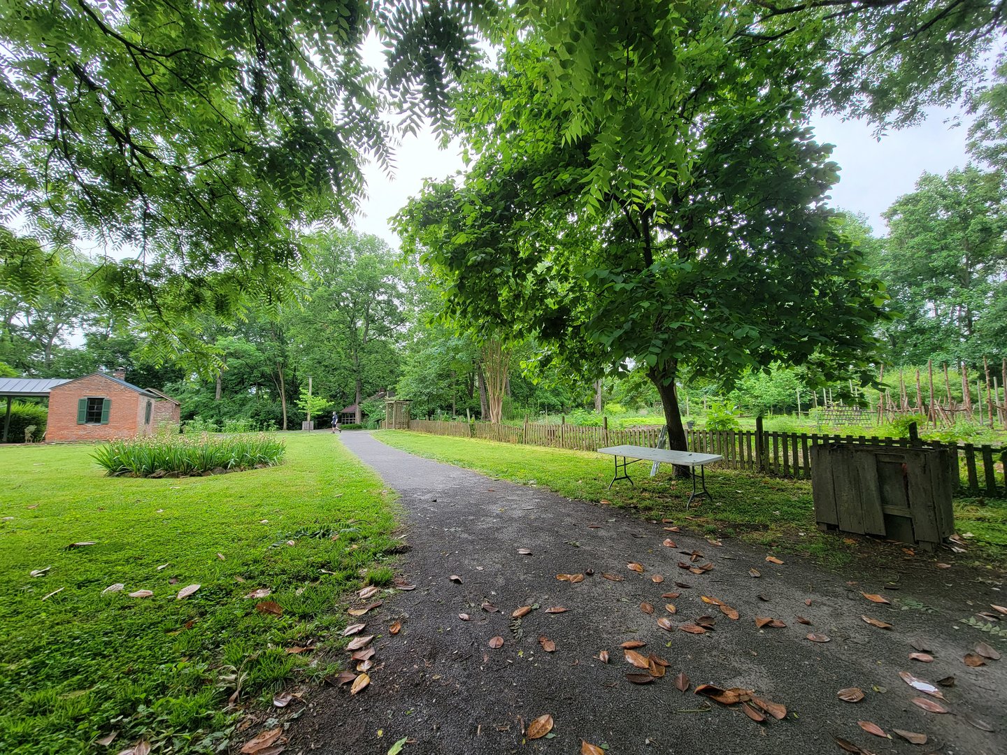 Nashville Zoo 5/22 - Grassmere Plantation gardens