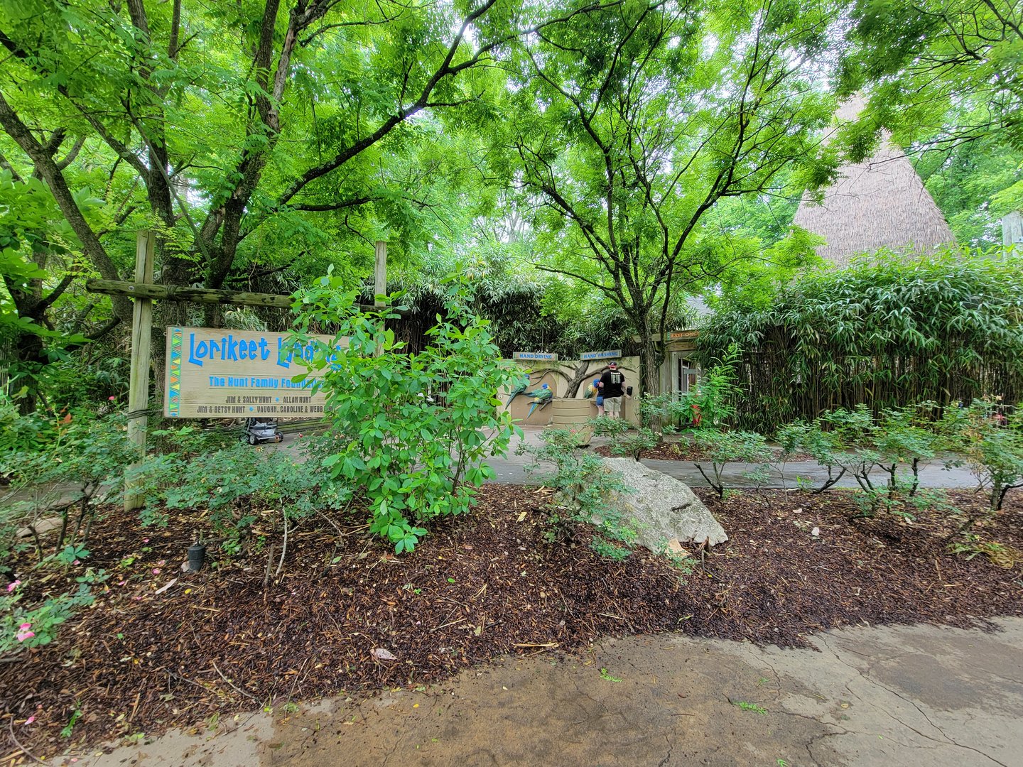 Nashville Zoo 5/22 - Lorikeet Landing