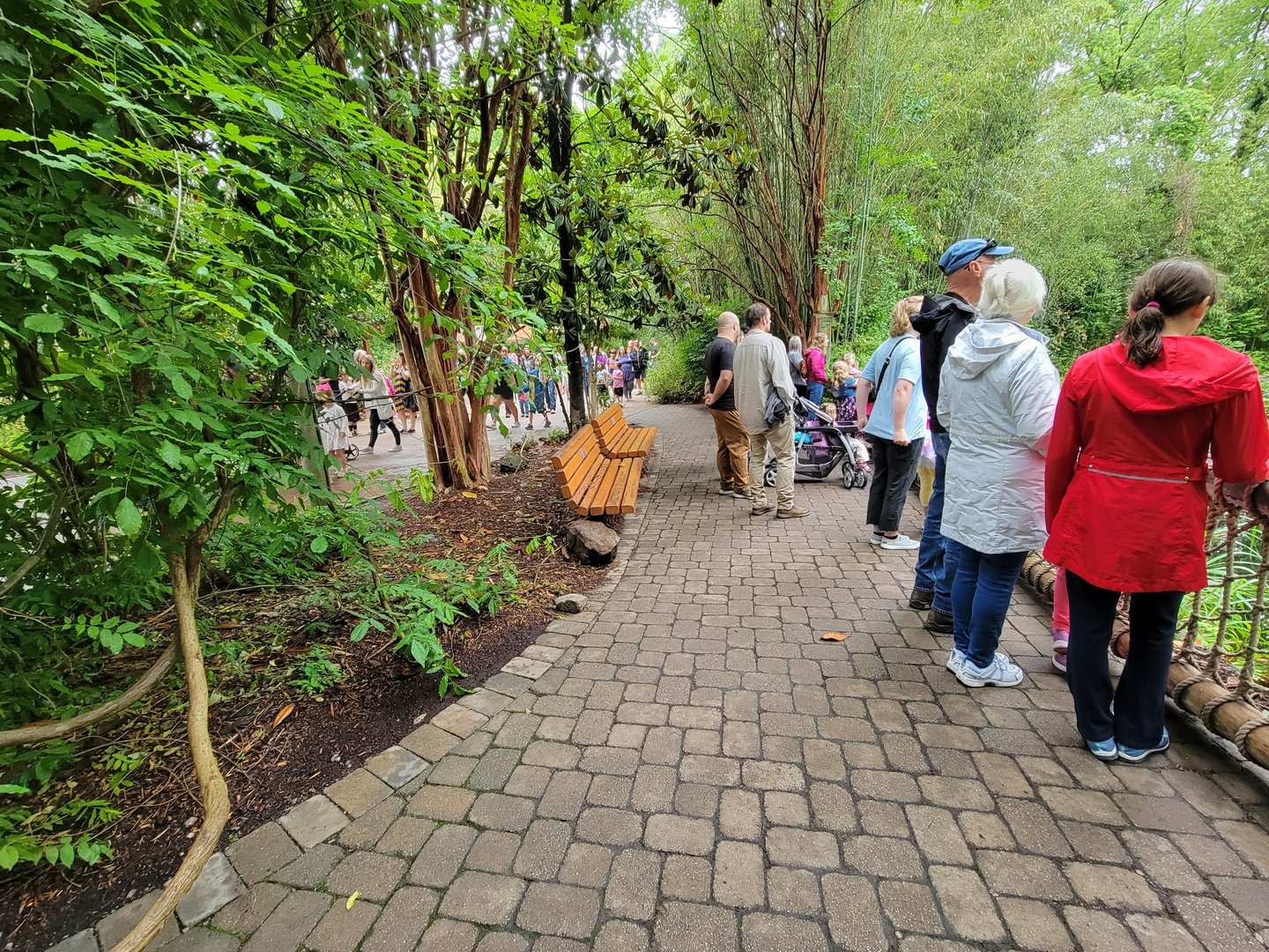Nashville Zoo 5/22 - Onslaught of people coming in after ticketing opened