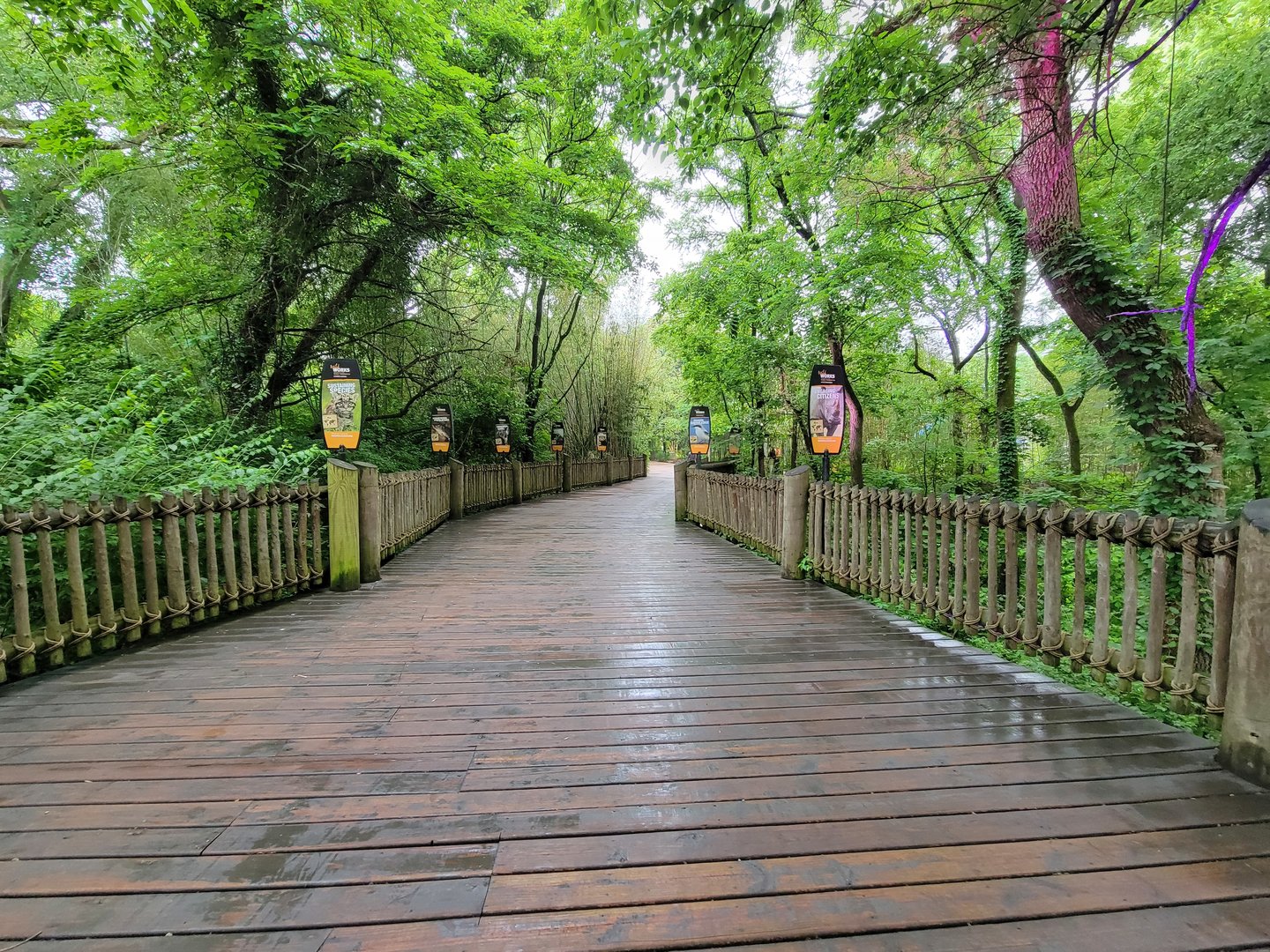 Nashville Zoo 5/22 - Path