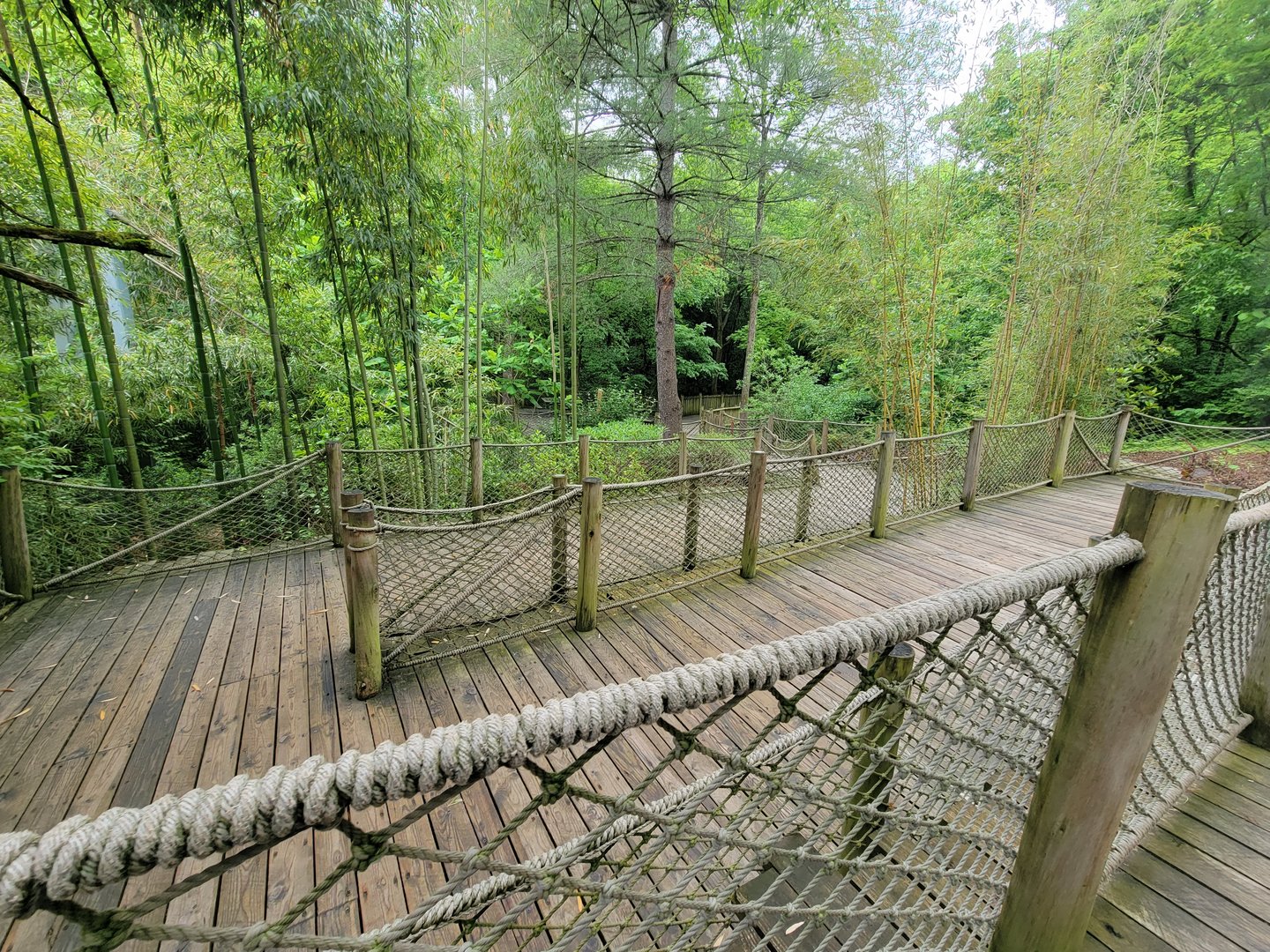 Nashville Zoo 5/22 - Path