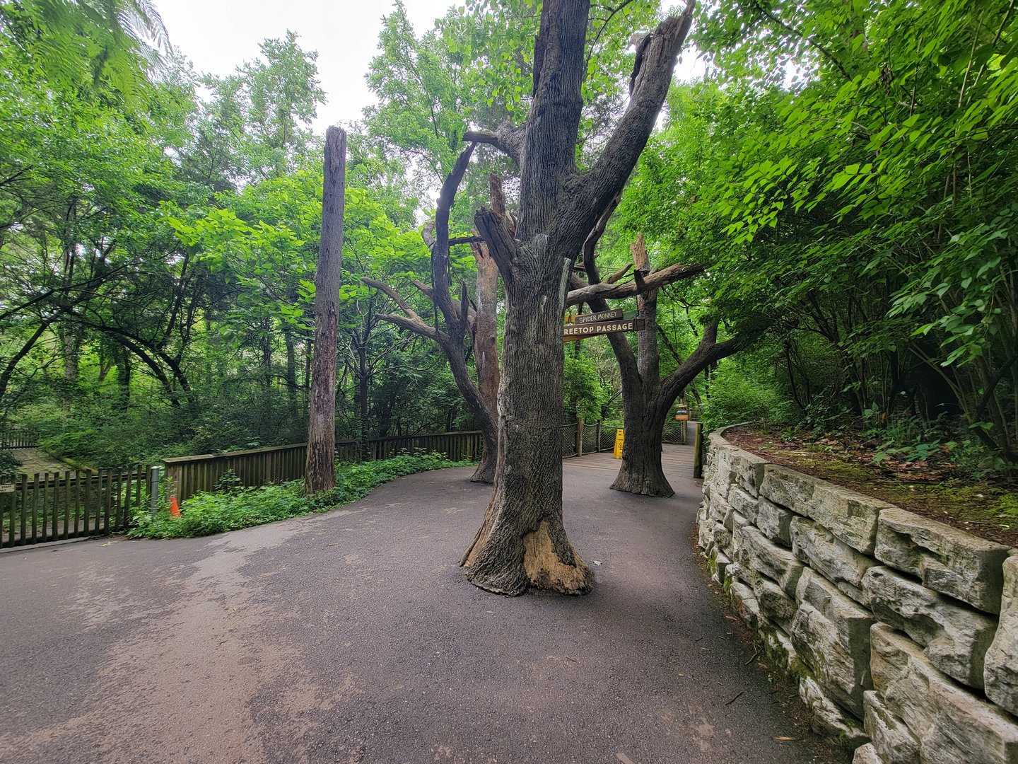 Nashville Zoo 5/22 - Path