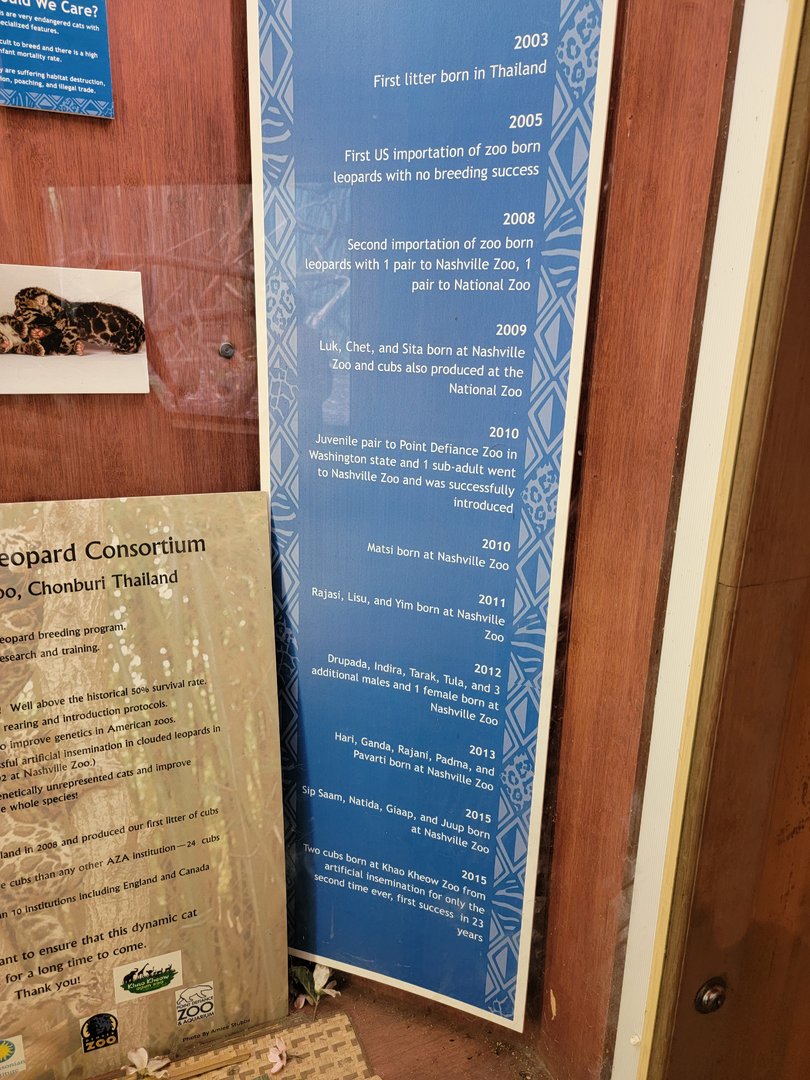 Nashville Zoo 5/22 - Thailand Clouded Leopard Consortium timeline