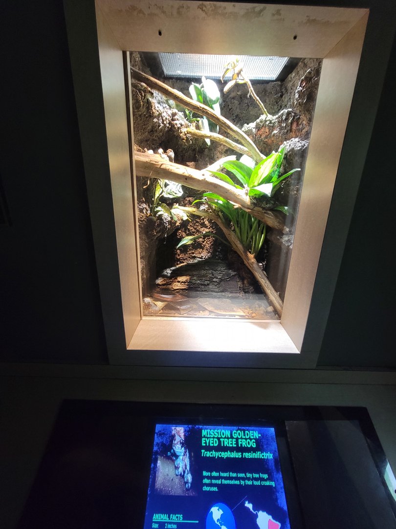 Nashville Zoo 5/22 - Unseen New World, Amazon milk frog