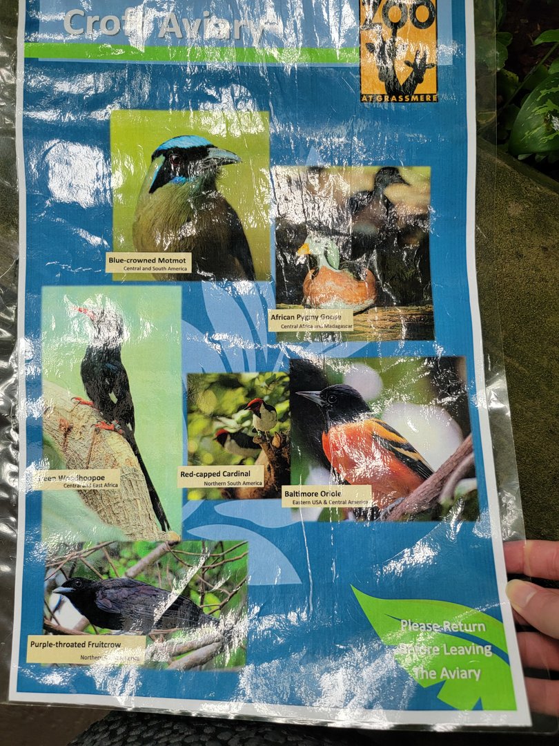 Nashville Zoo 5/22 - Unseen New World, Croft Aviary species