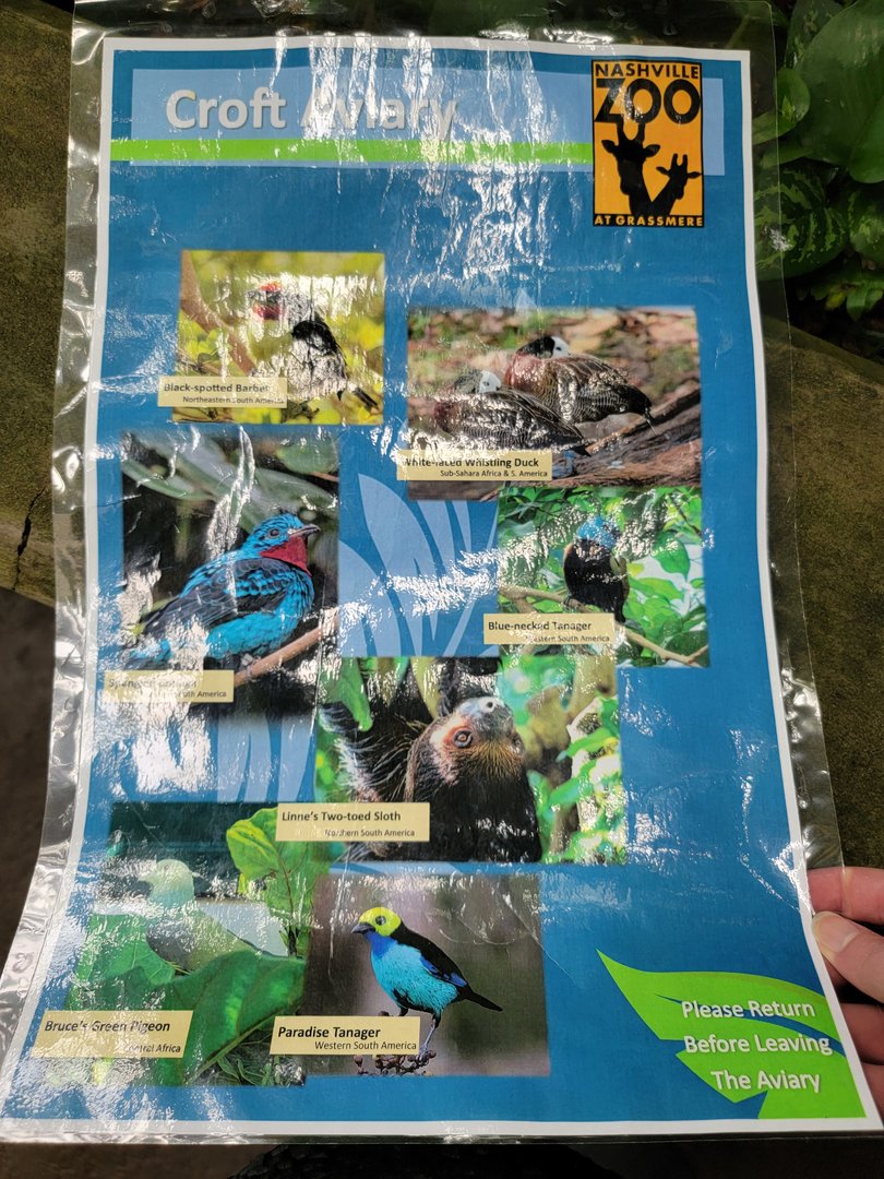 Nashville Zoo 5/22 - Unseen New World, Croft Aviary species