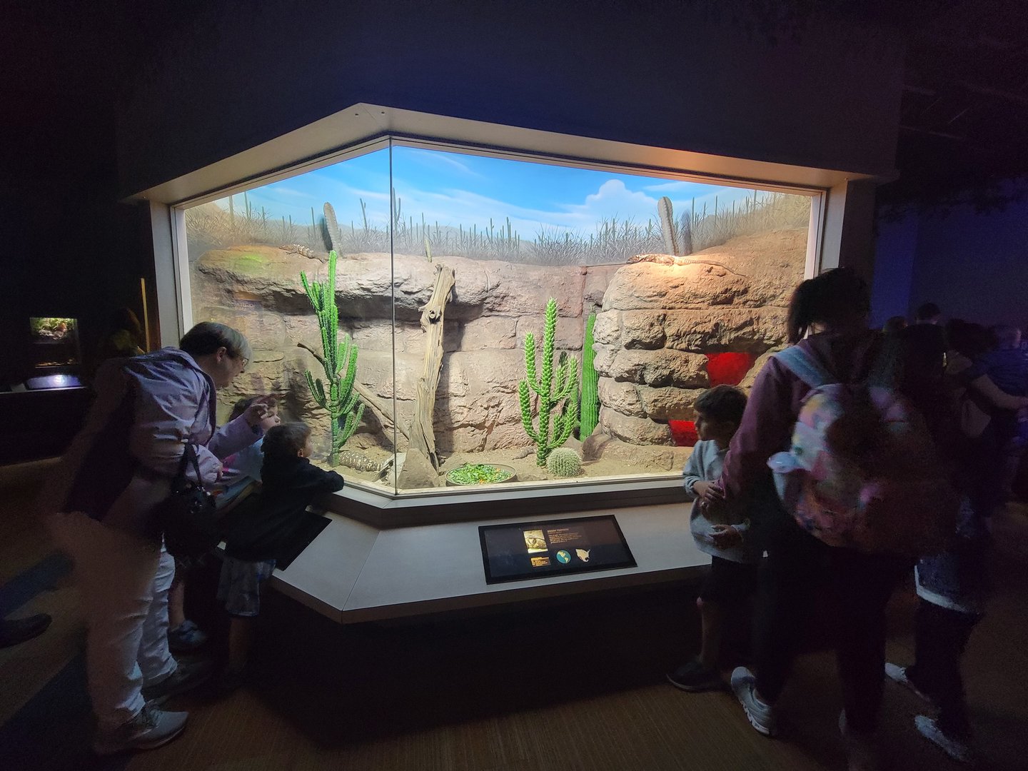 Nashville Zoo 5/22 - Unseen New World, desert tortoise, beaded lizard, spiny-tailed iguana