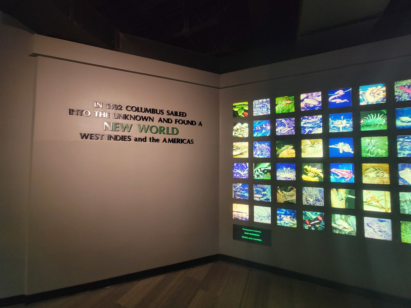 Nashville Zoo 5/22 - Unseen New World, inside entrance