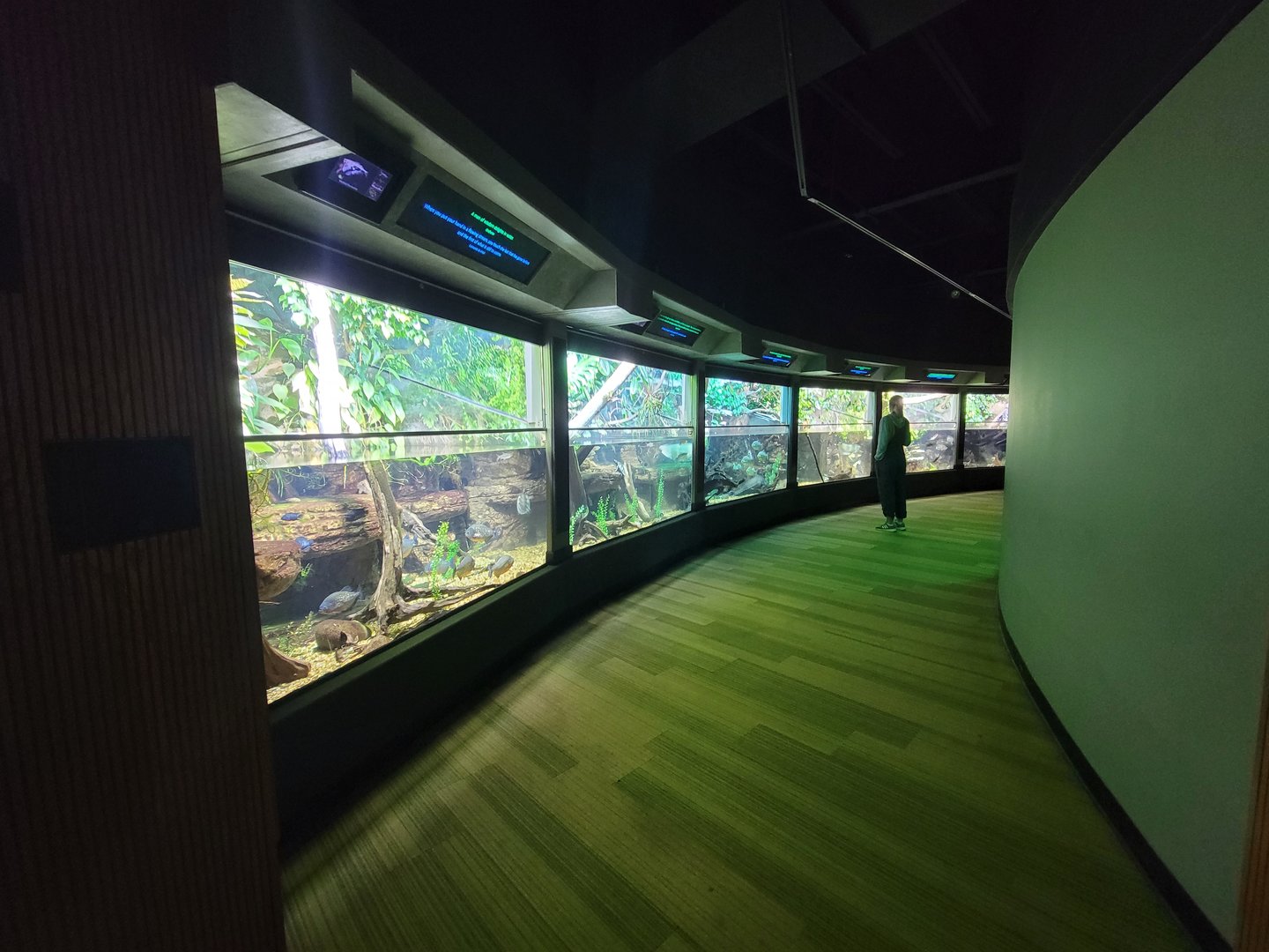 Nashville Zoo 5/22 - Unseen New World, tropical rivers tanks