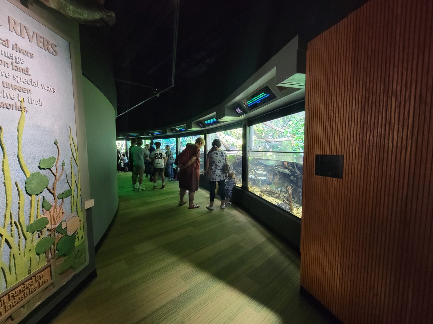 Nashville Zoo 5/22 - Unseen New World, tropical rivers