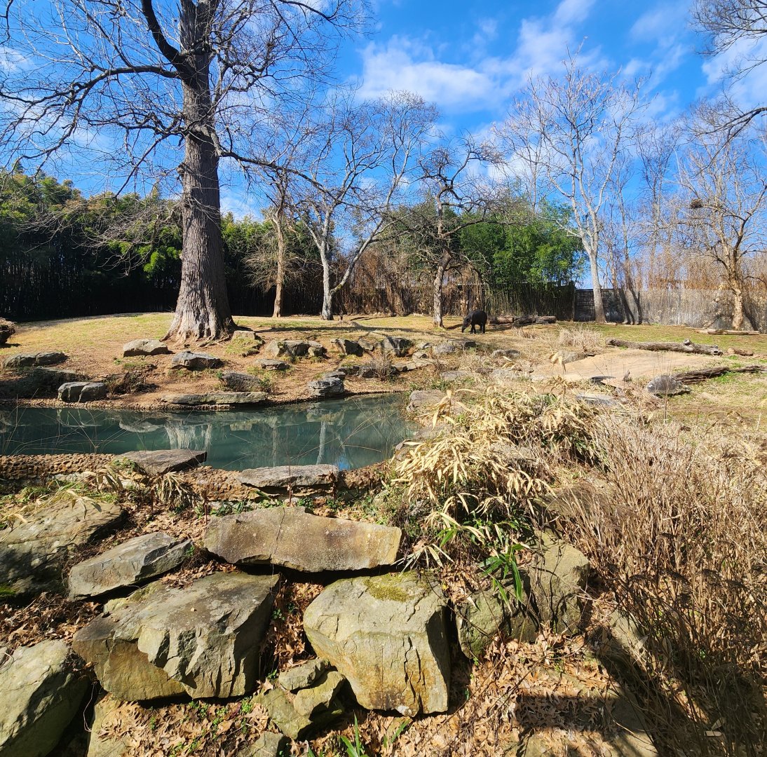 Nashville Zoo - Baird's Tapir enclosure