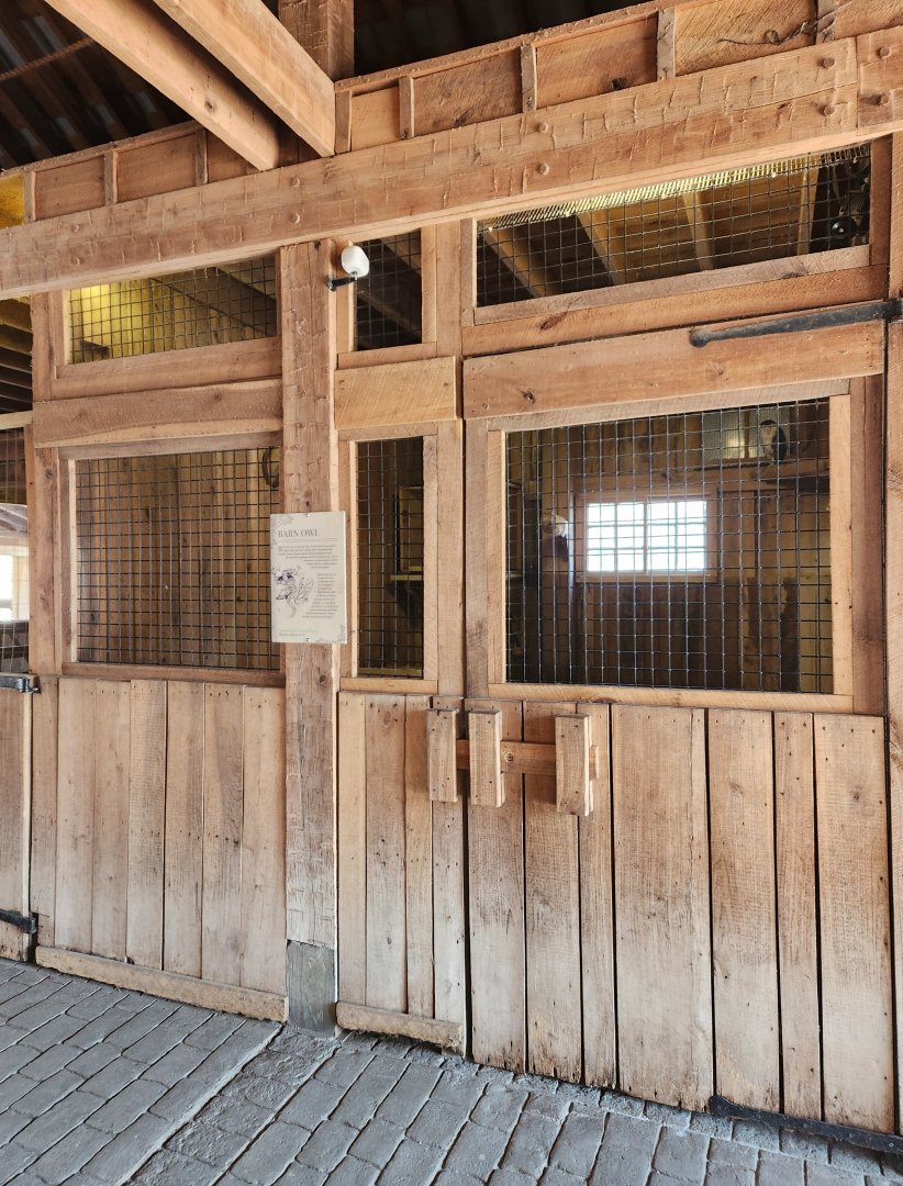 Nashville Zoo - Barn Owl enclosure at Grassmere farm