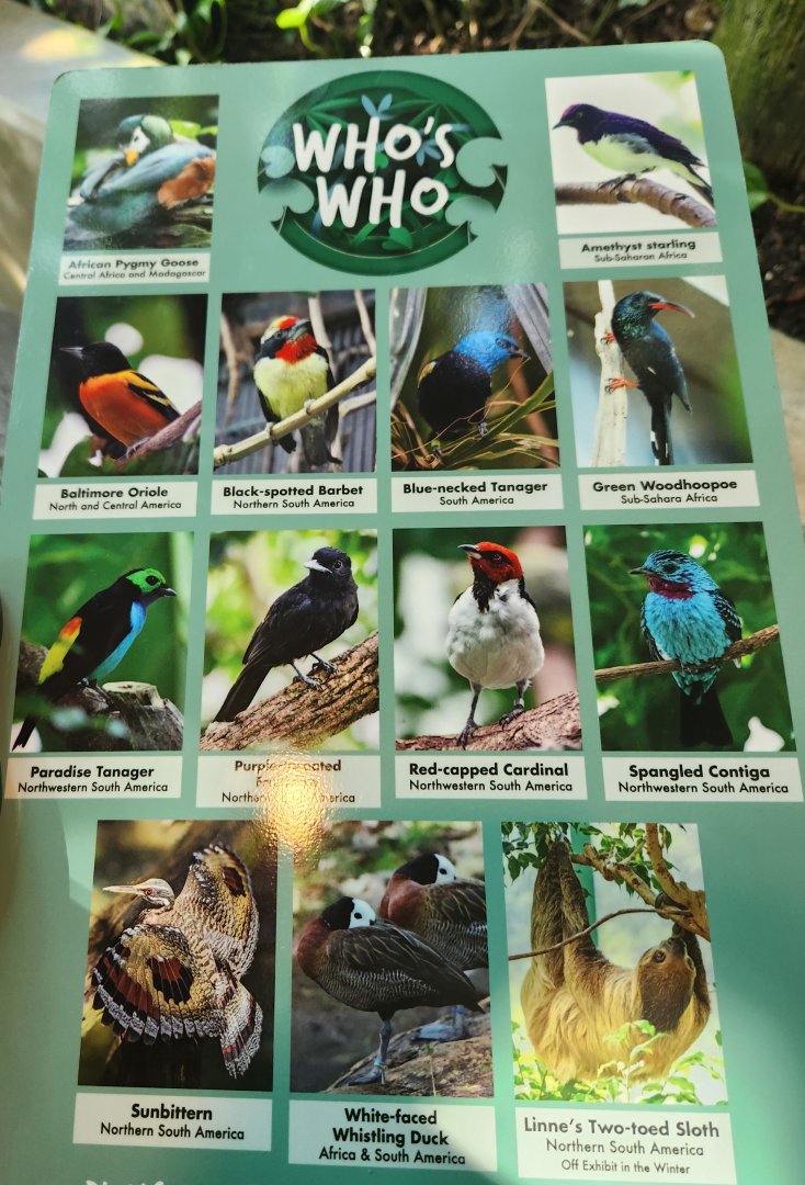 Nashville Zoo - Current aviary roster