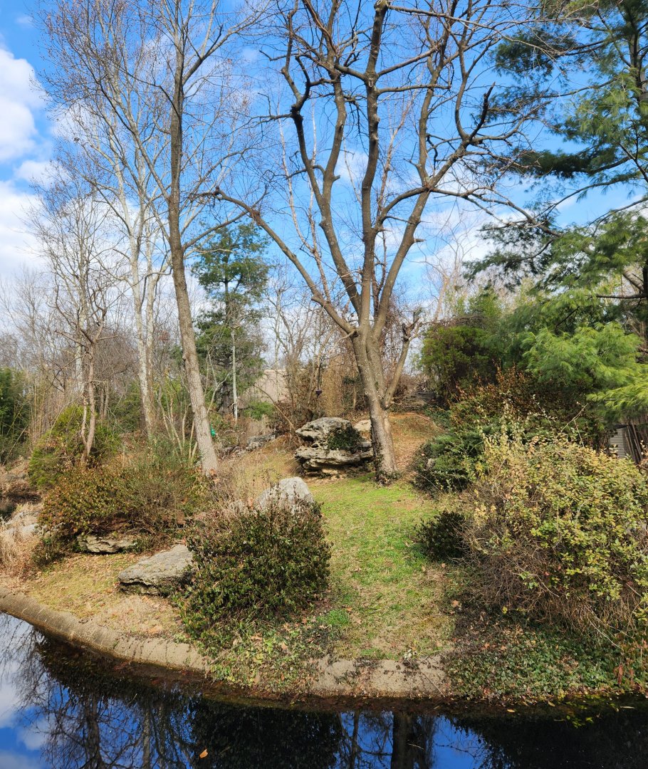 Nashville Zoo - Gibbon island