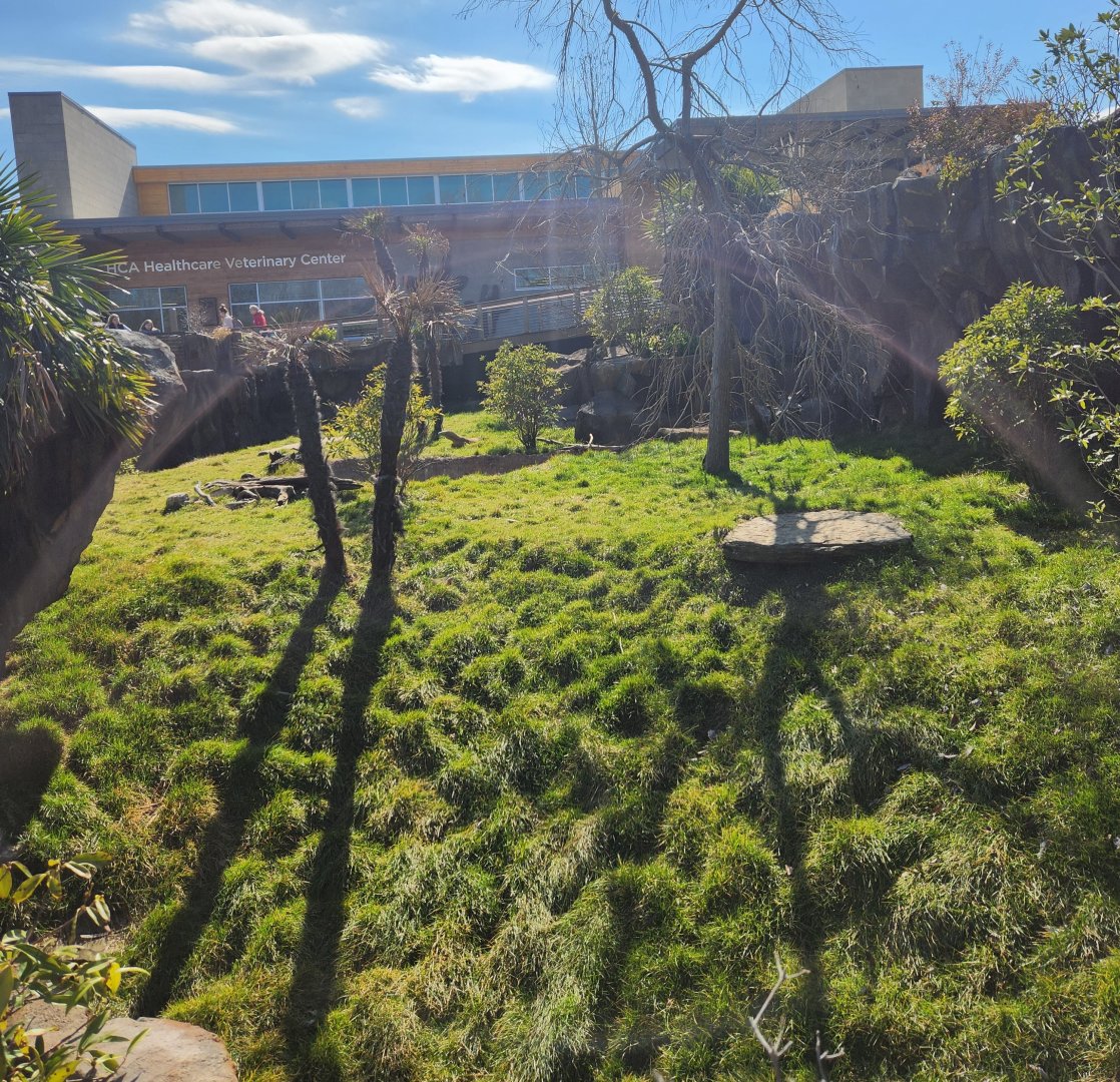 Nashville Zoo - Komodo Dragon exhibit