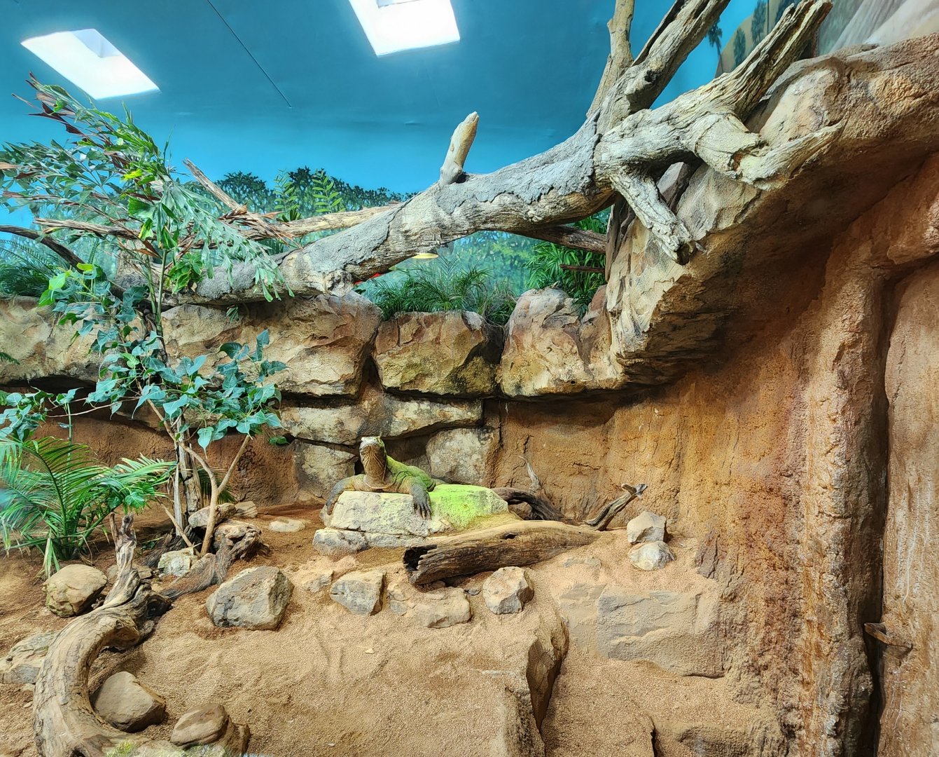 Nashville Zoo - Monitor indoor area