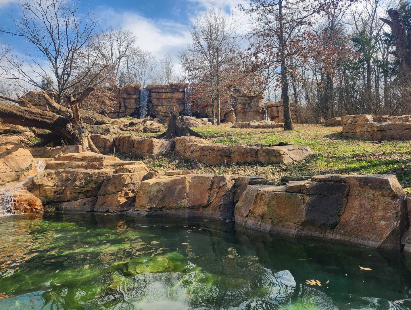 Nashville Zoo - Spectacled bear enclosure