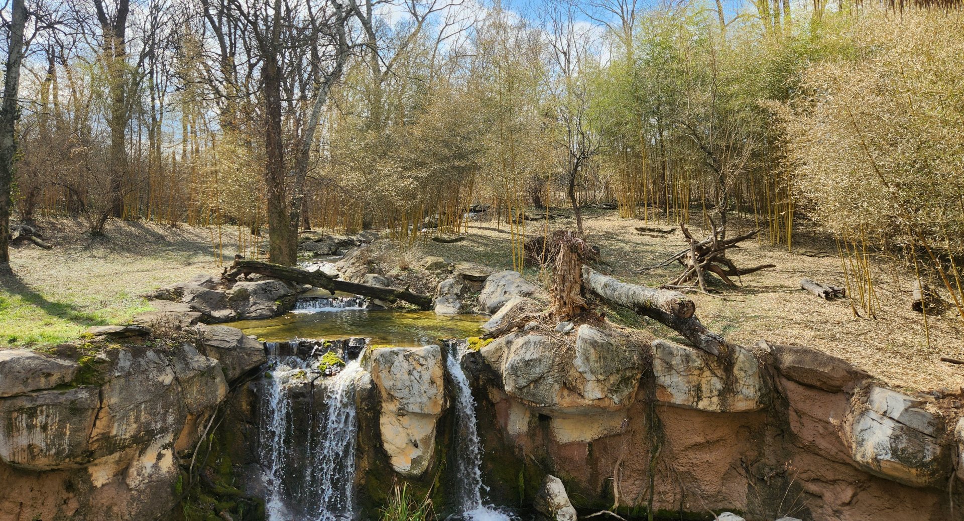 Nashville Zoo - Sumatran Tiger enclosure