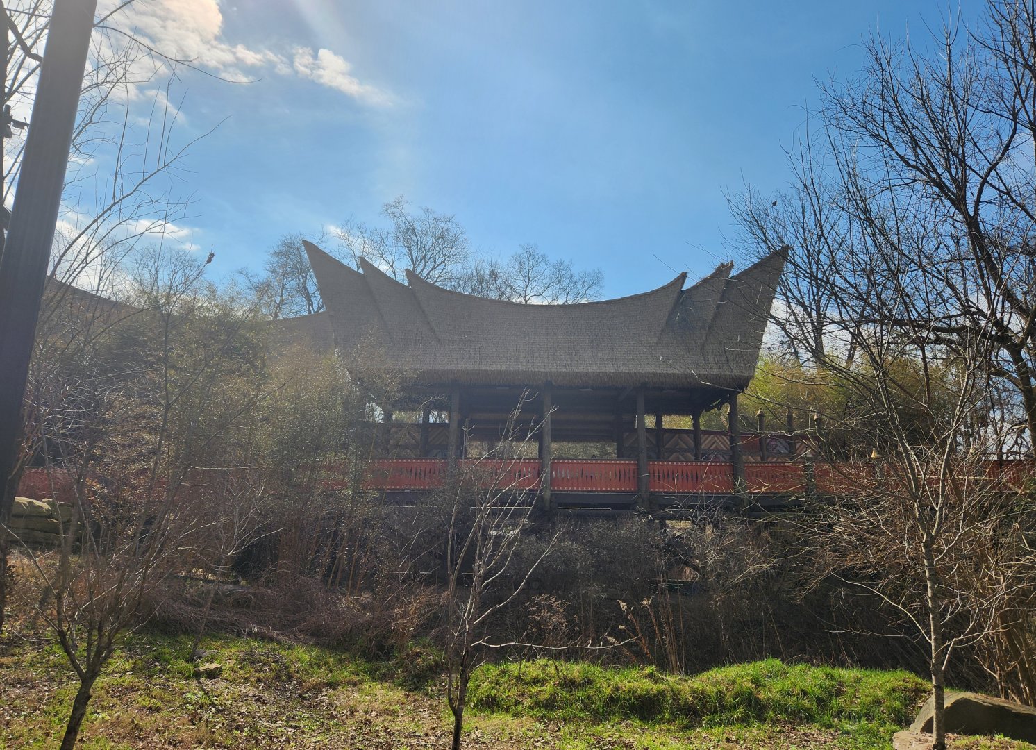 Nashville Zoo - Tiger Crossroads bridge from low ground