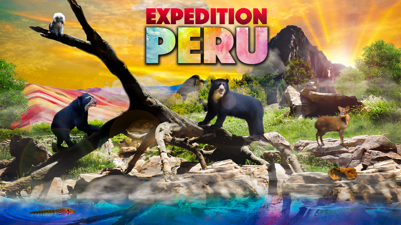 Nashville Zoo's Expedition Peru Poster Art