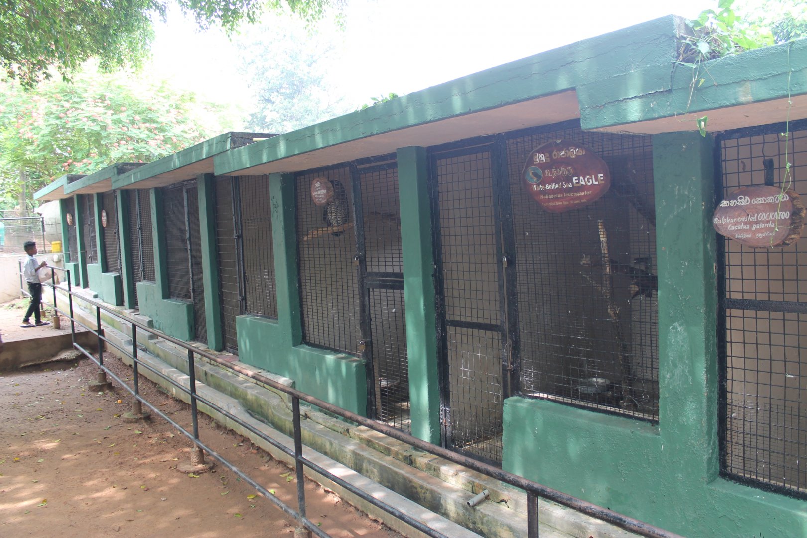 nasty aviaries