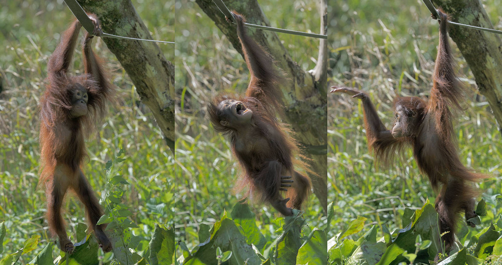 Natalia enjoying herself
