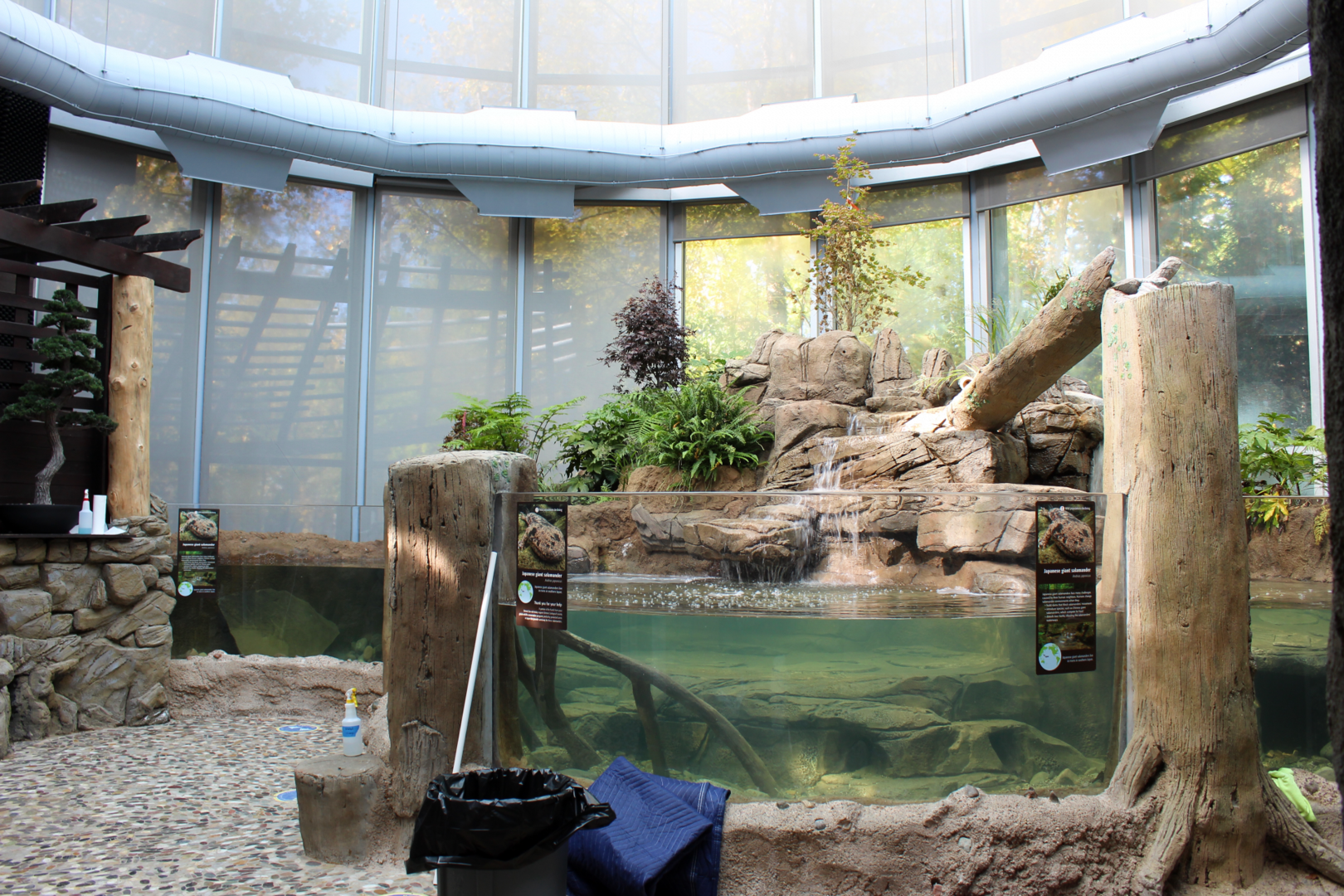 National Amphibian Conservation Center - Japanese Giant Salamander Exhibit (Under Maintenance)