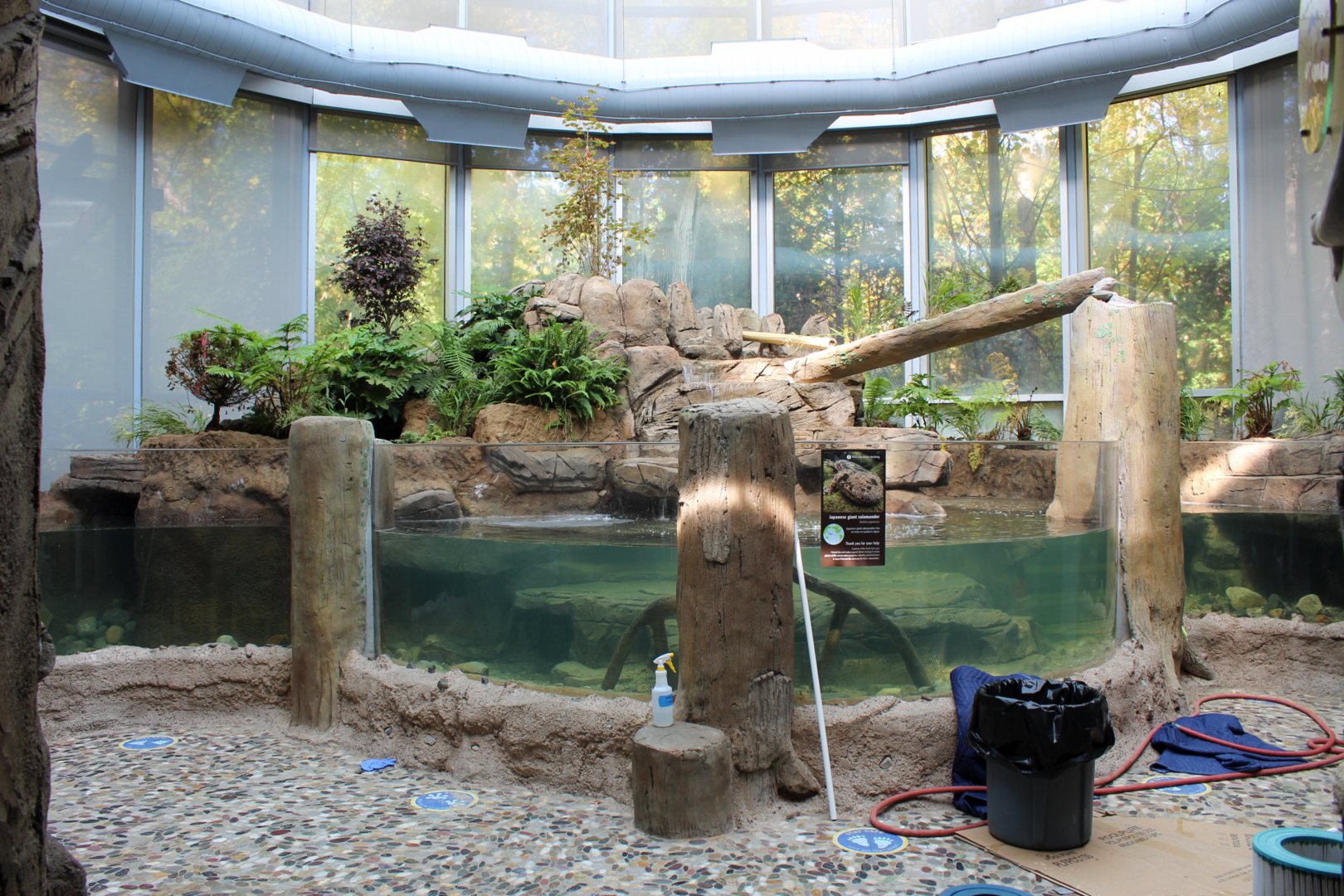 National Amphibian Conservation Center - Japanese Giant Salamander Exhibit (Under Maintenance)