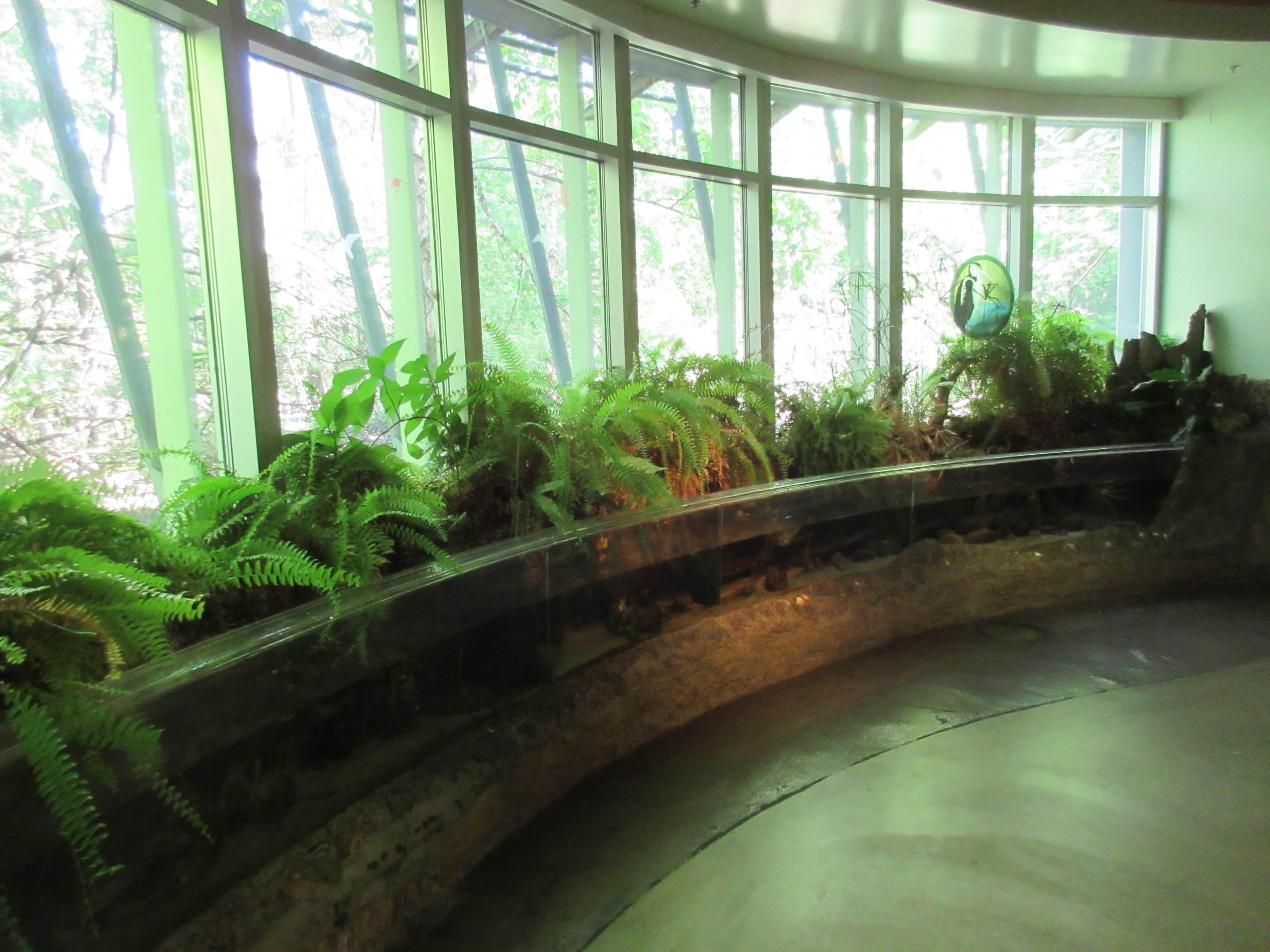 National Amphibian Conservation Center - Michigan Stream