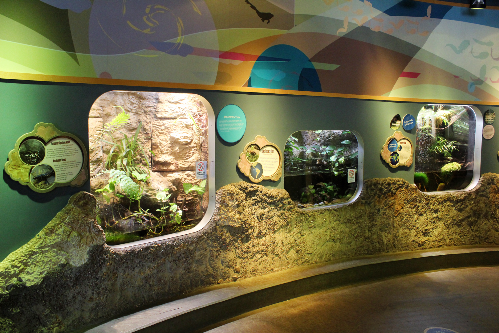 National Amphibian Conservation Center - Various Exhibits
