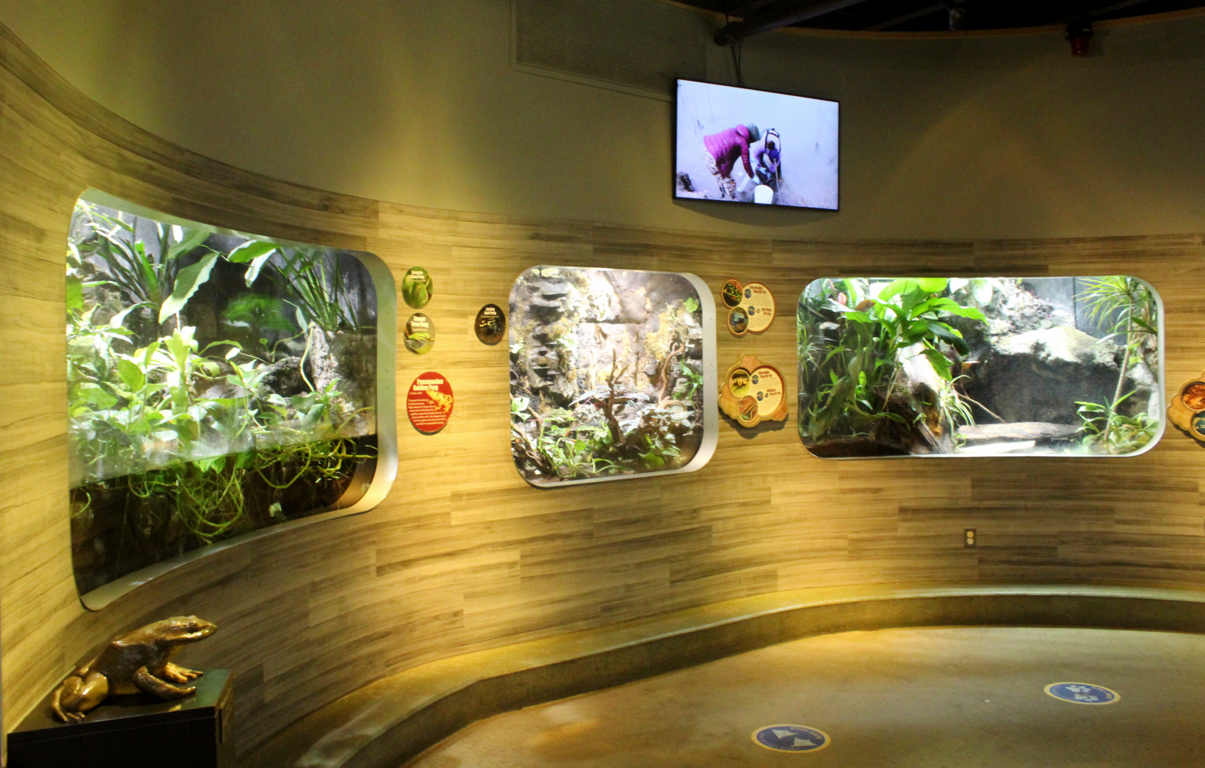 National Amphibian Conservation Center - Various Exhibits