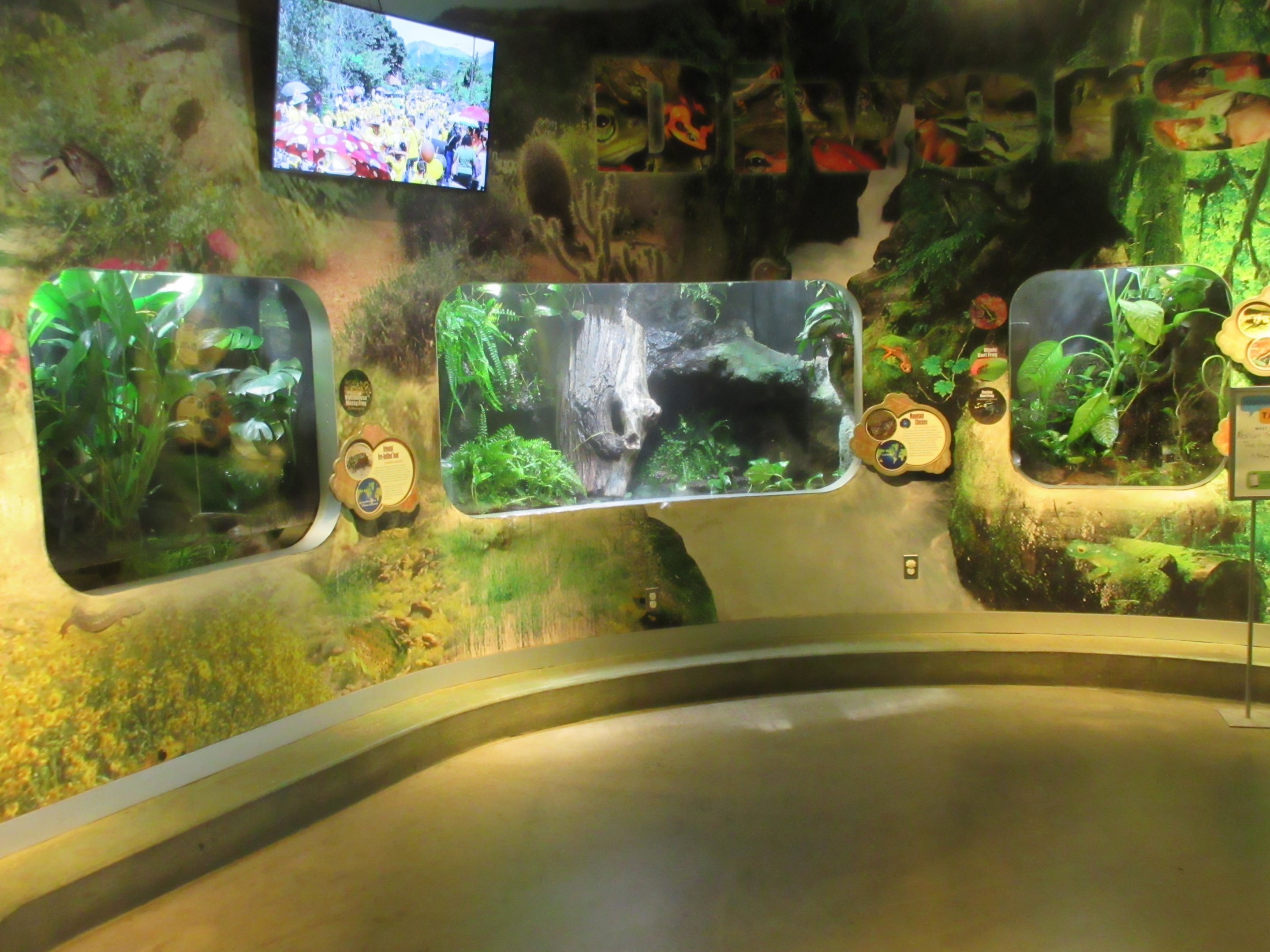 National Amphibian Conservation Center