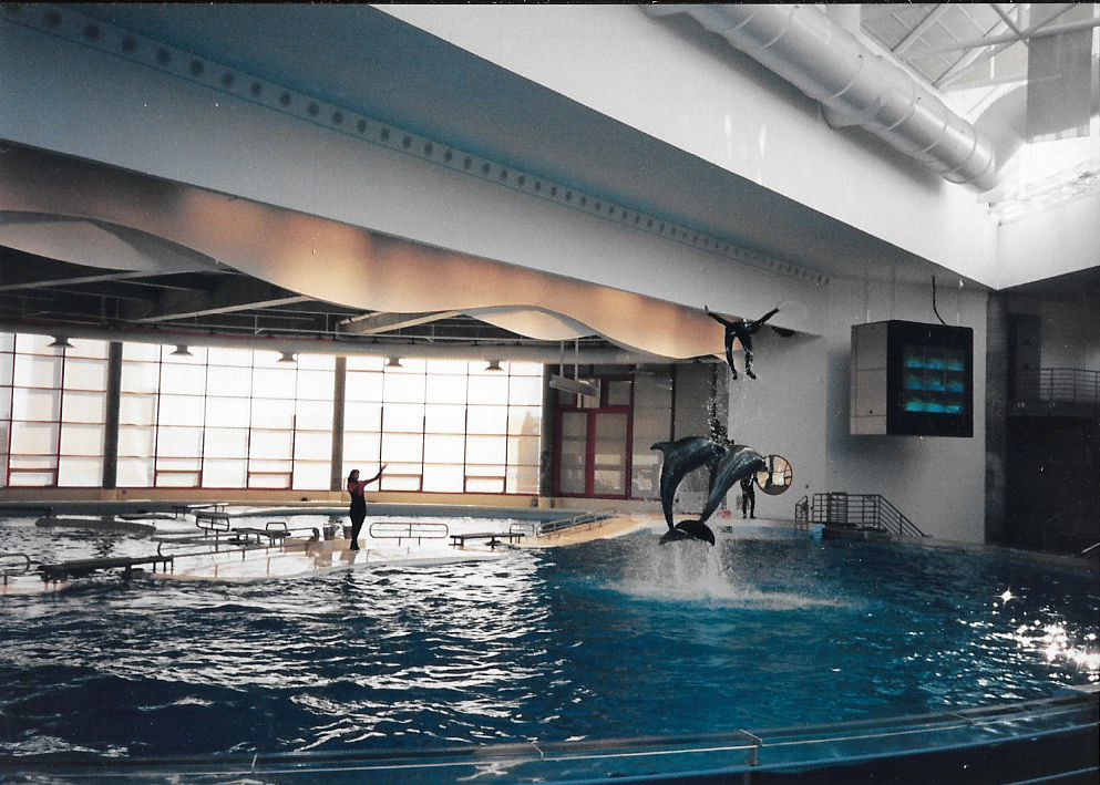 National Aquarium in Baltimore, 1995