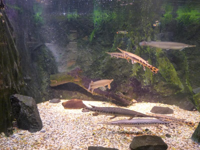 National Aquarium Washington