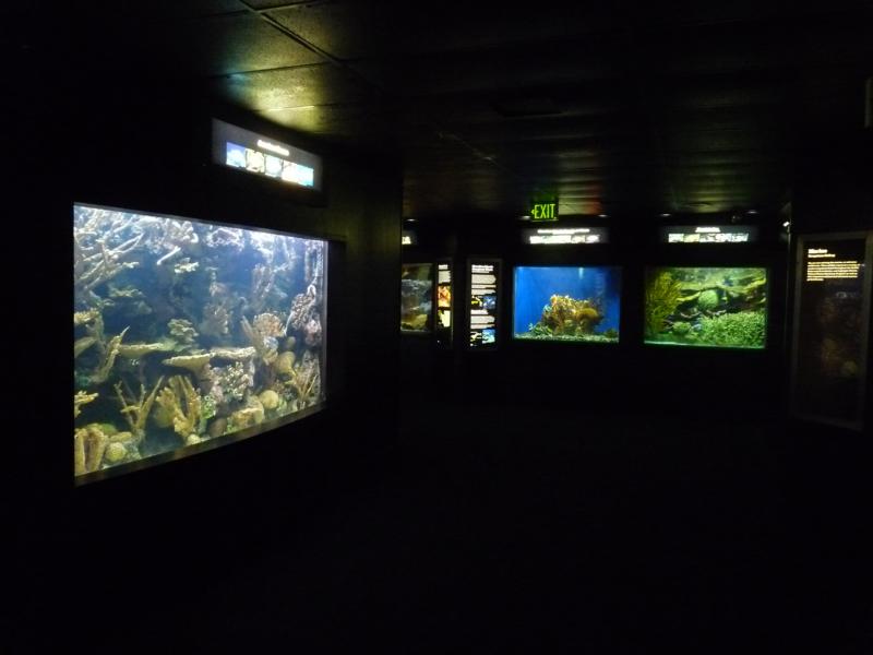 National Aquarium Washington