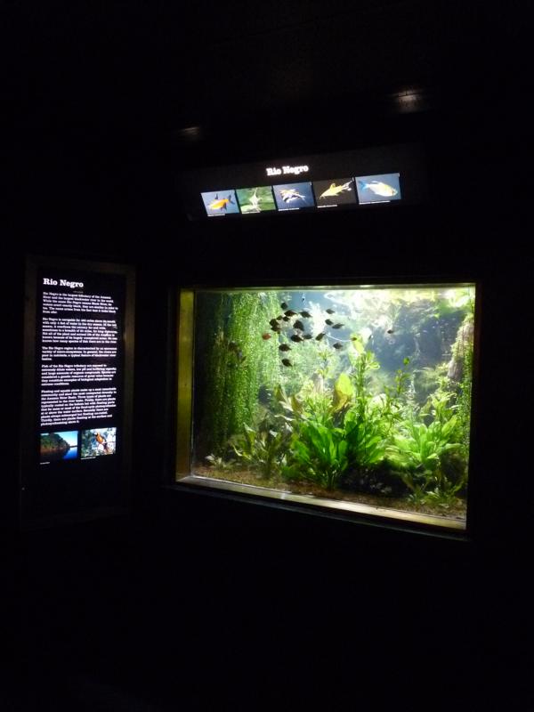 National Aquarium Washington