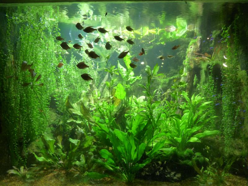 National Aquarium Washington