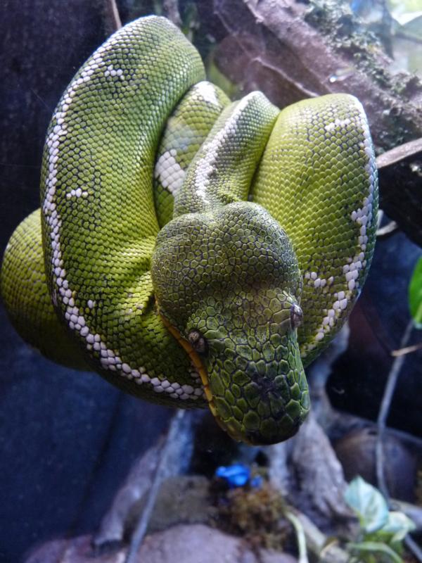 National Aquarium Washington