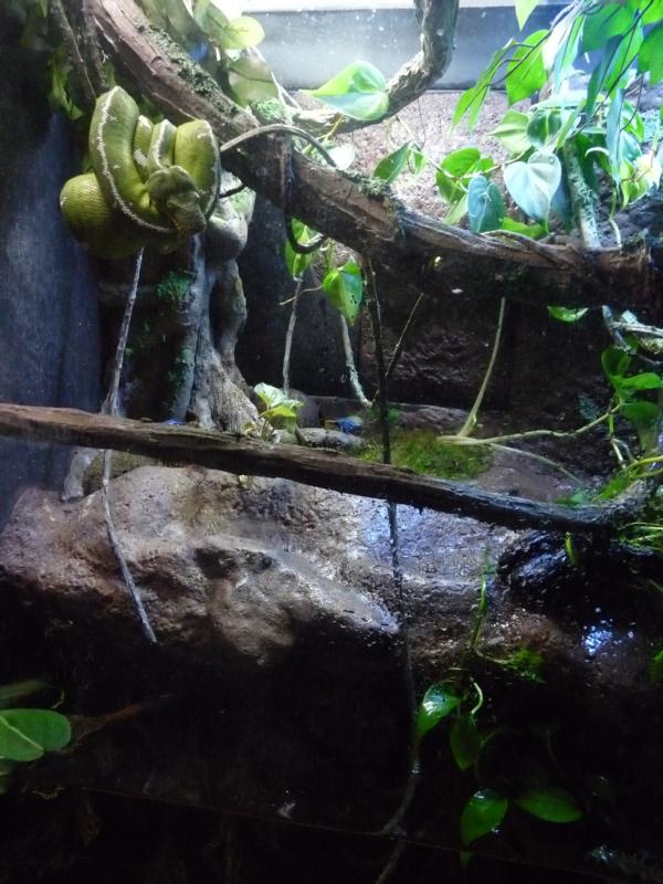 National Aquarium Washington