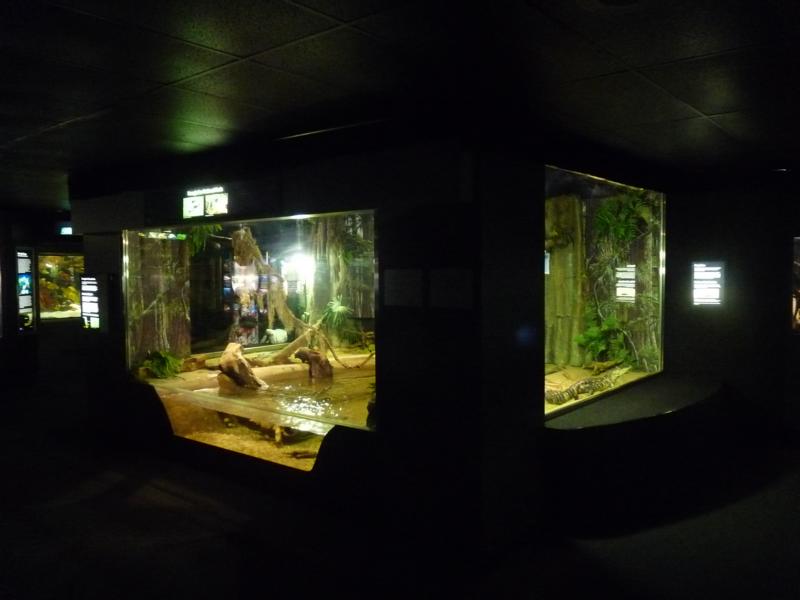 National Aquarium Washington