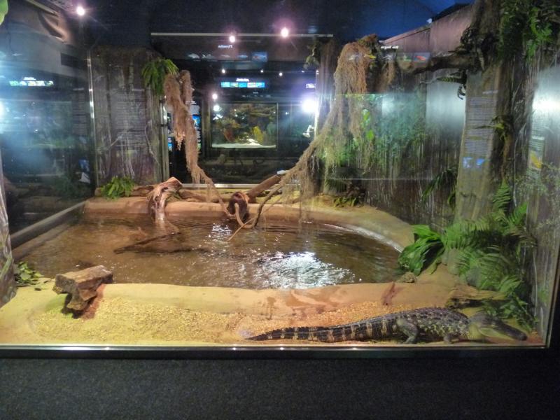 National Aquarium Washington