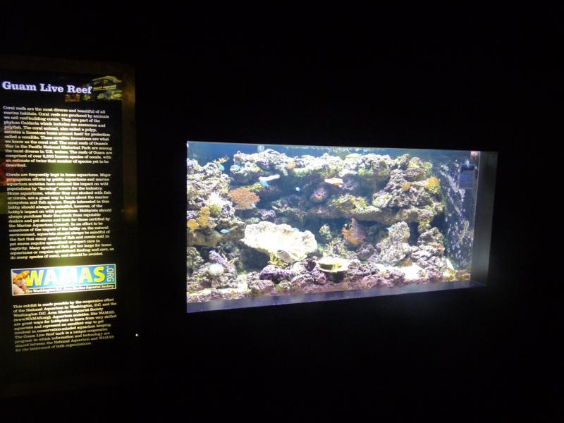 National Aquarium Washington