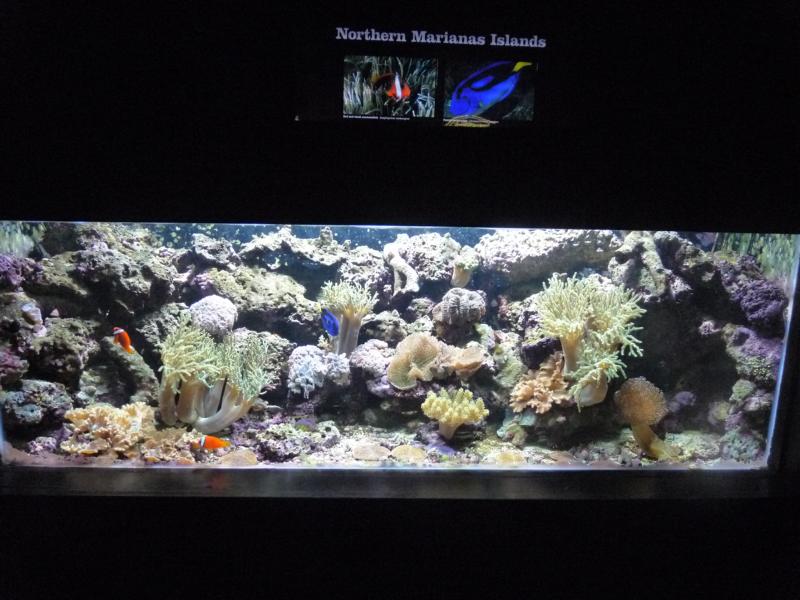 National Aquarium Washington