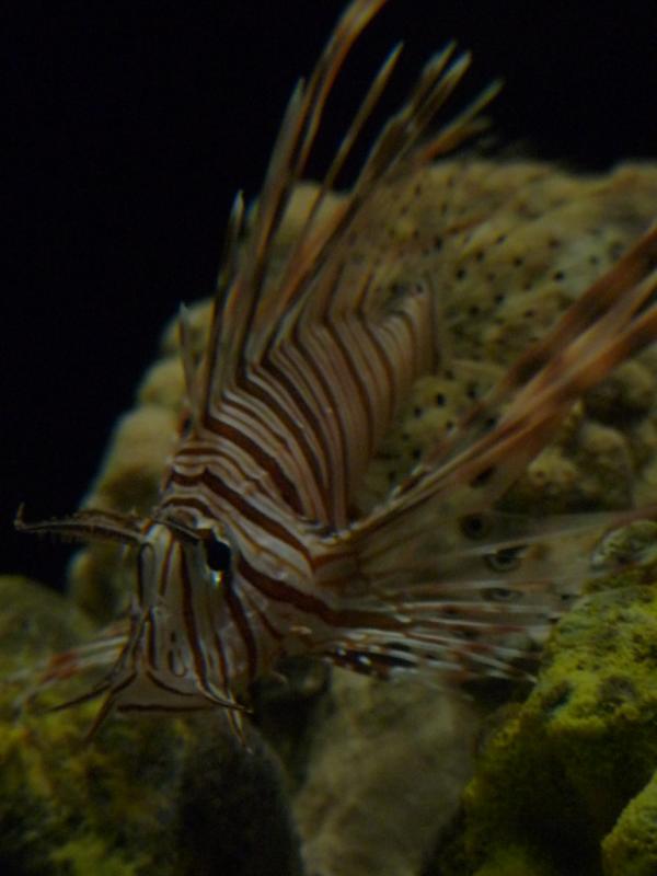 National Aquarium Washington
