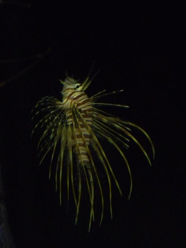 National Aquarium Washington
