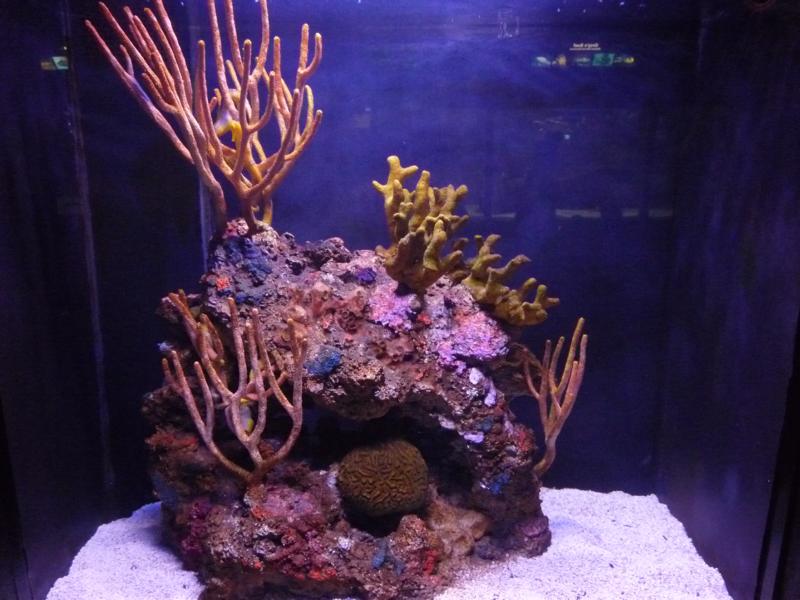 National Aquarium Washington