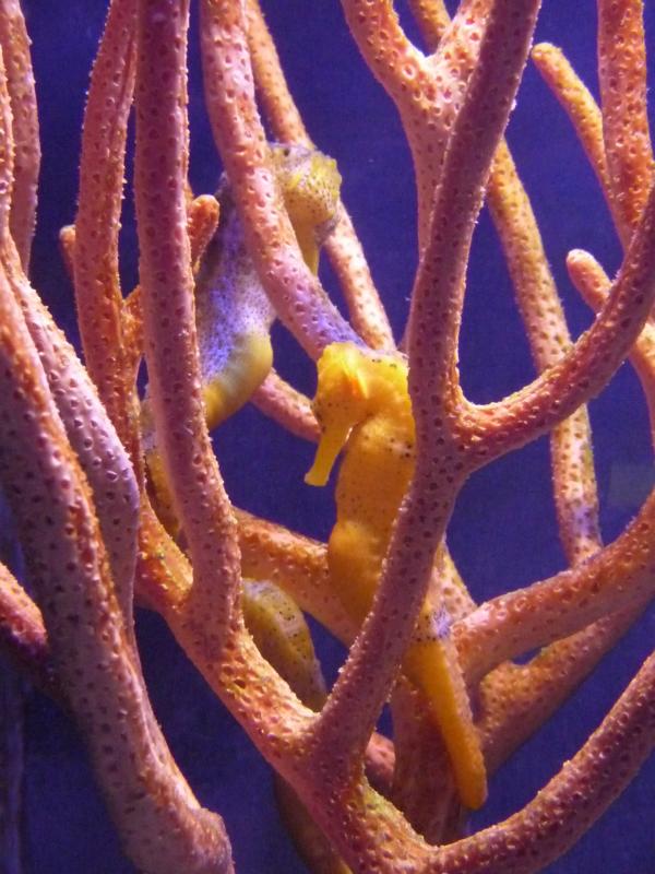 National Aquarium Washington