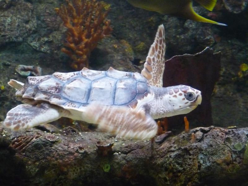 National Aquarium Washington