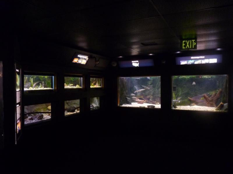 National Aquarium Washington