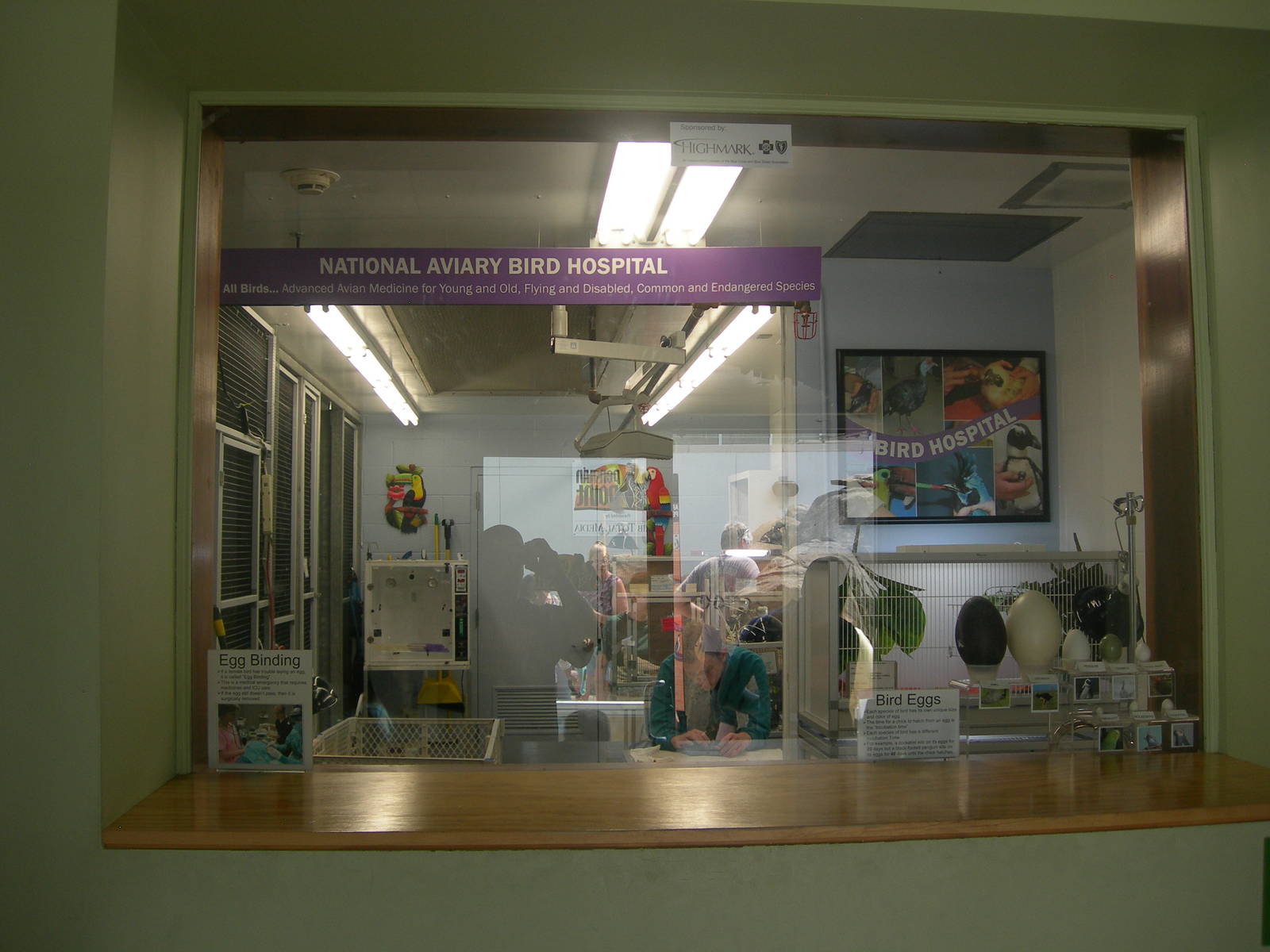 National Aviary Bird Hospital Window